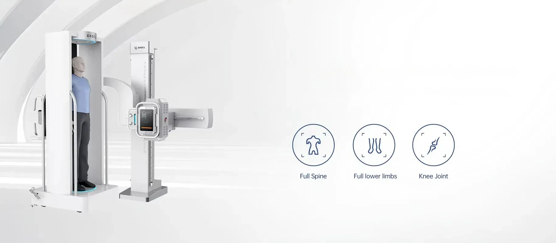 WR-3D full spine full lower limb and knee joint applications