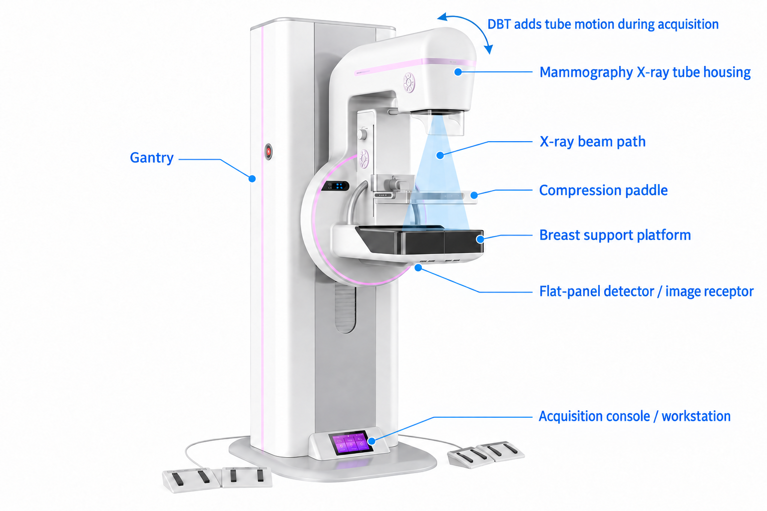 Labeled mammography machine diagram showing the X-ray tube, compression paddle, detector, gantry and workstation